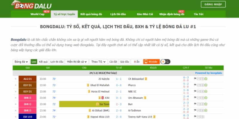 Bongdalu - Website Theo Dõi Thông Tin Bóng Đá Cực Chuẩn