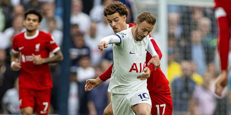 Nhận định trận đấu giữa Liverpool vs Tottenham chi tiết nhất