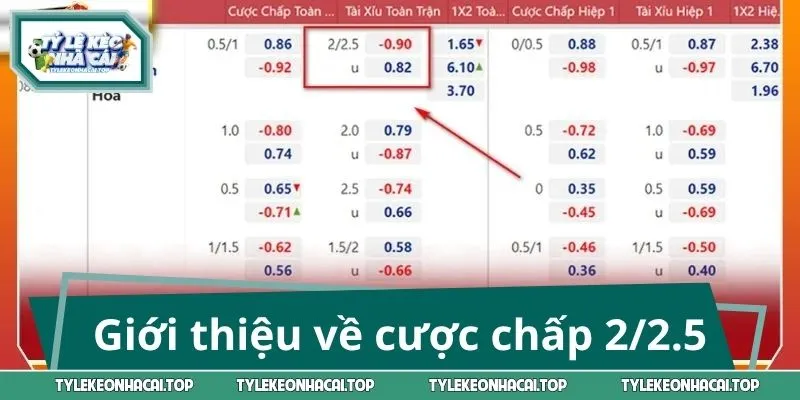 Thông tin giới thiệu về cược chấp 2/2.5